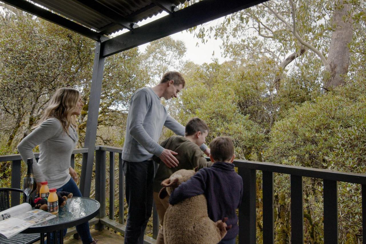 Discovery Resorts - Cradle Mountain Buitenkant foto