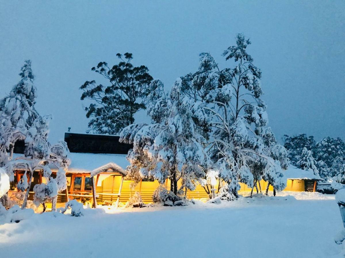 Discovery Resorts - Cradle Mountain Buitenkant foto